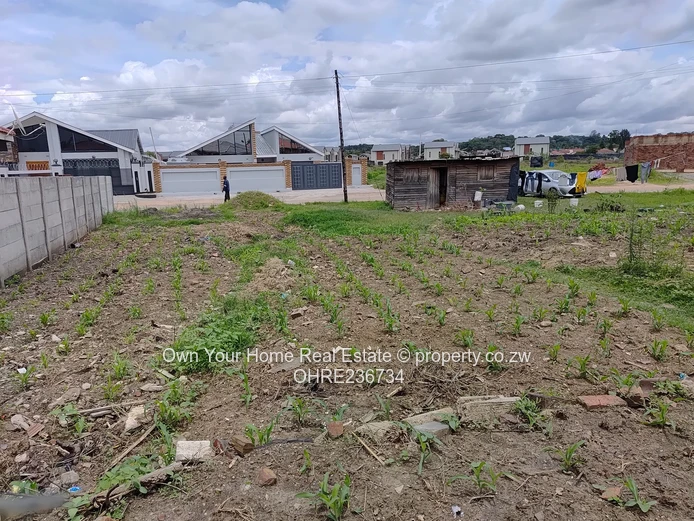 Madokero Estate infill stand for sale 