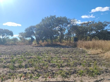 Farm & Agricultural Land