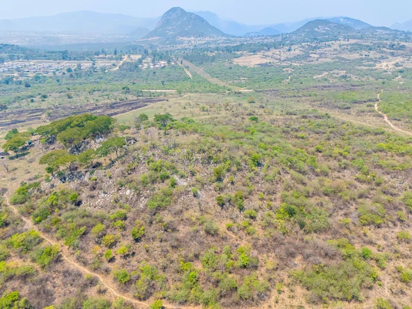 Farm & Agricultural Land