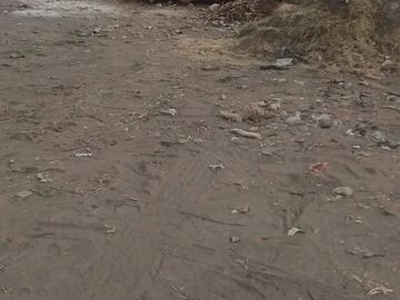 Commercial & Industrial Land