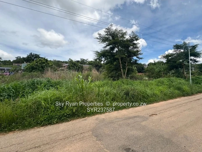 Stand for Sale – Carrick Creagh, Borrowdaleki