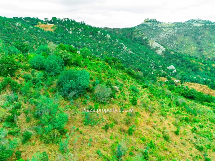 8,188 m² Juliasdale Stand — Secluded Hillside Views