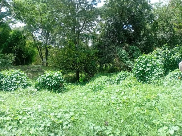 Commercial & Industrial Land