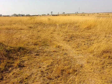 Commercial & Industrial Land