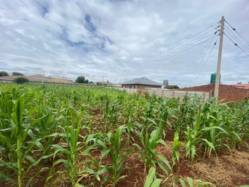 Stands & Residential Land