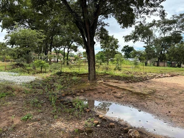 Stands & Residential Land