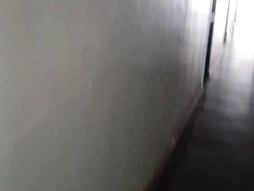 Flat & Apartment