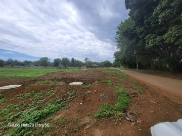 Stands & Residential Land