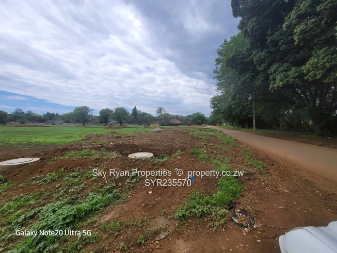 Marlborough Adlyn Stands For Sale