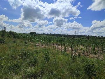 Commercial & Industrial Land