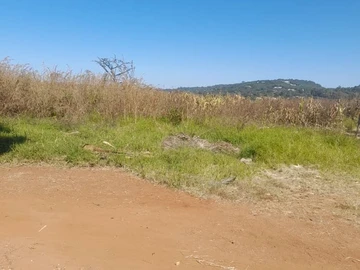 Expansive 3922 m² Stand in Prestigious Borrowdale Brooke, Harare