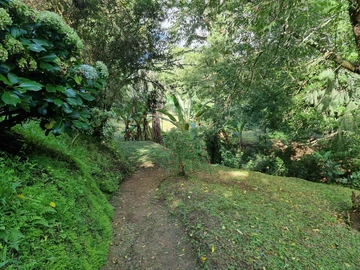 Farm & Agricultural Land