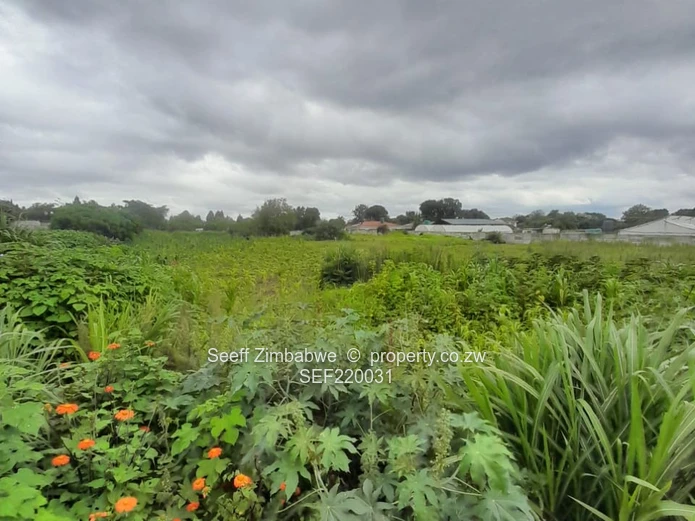 Spacious 12,692m² Walled Residential Stand with Road Frontage - Greendale