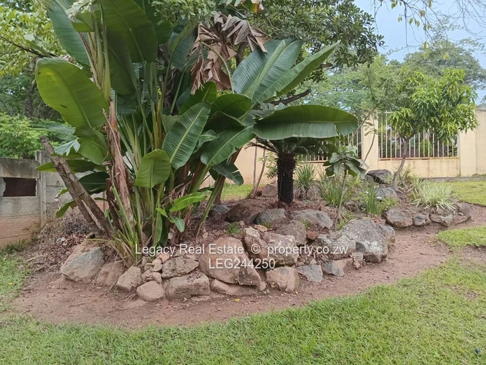 Gated Folyjon Glen Lorne 4-Bed Home with Pool & Garden