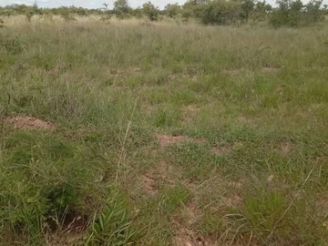 Farm & Agricultural Land