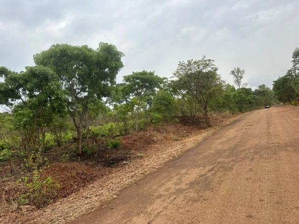 Farm & Agricultural Land
