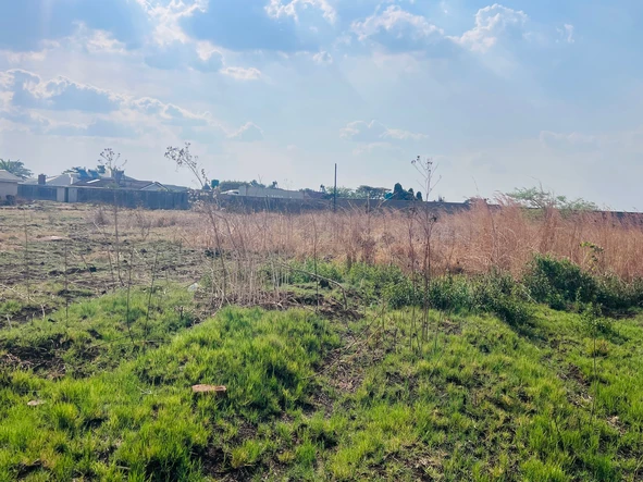 Stands & Residential Land