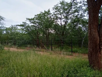 Nyamandlovu