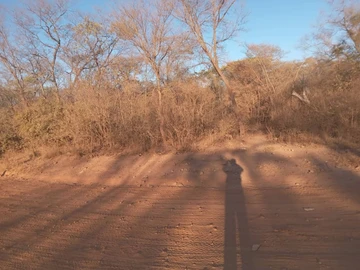 Farm & Agricultural Land