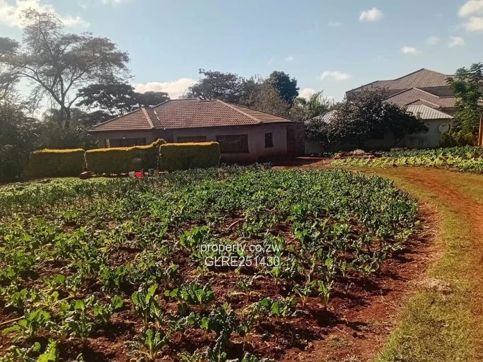 2164 m² Shawasha Hills Stand — Home & Garden Plot