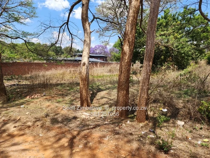 Rare Prime Find: Build Your Dream Home in Affluent Glen Lorne