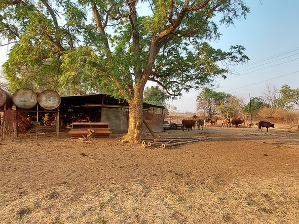 Farm & Agricultural Land