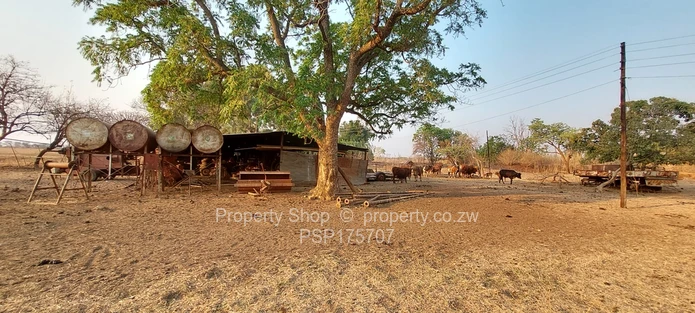 Excellent Farming Opportunity