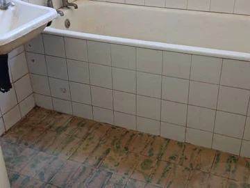 Flat & Apartment