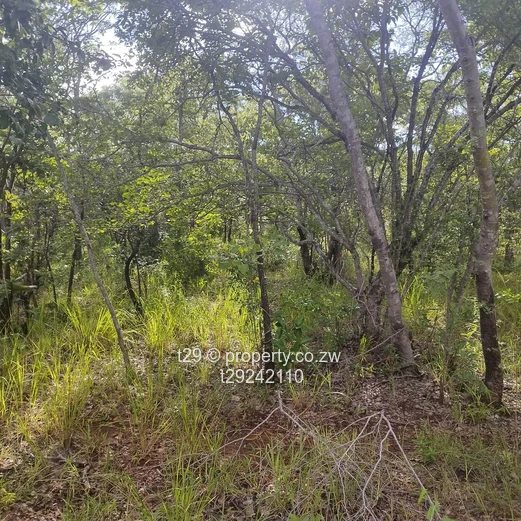 Norton chegutu selous plots for sale