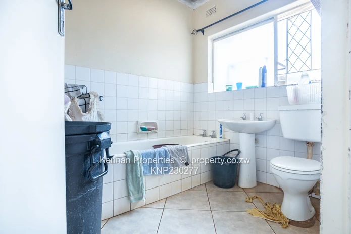 Renovator's Dream - Nostro!