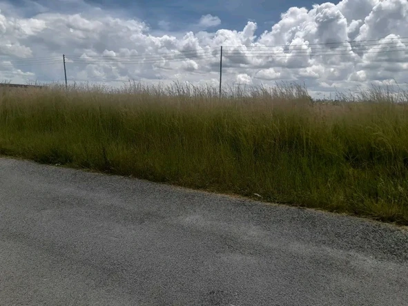 Stands & Residential Land