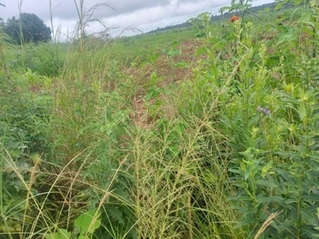 Commercial & Industrial Land