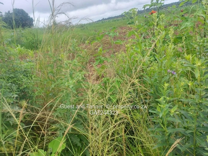 Extensive Commercial Land In For Sale In Chirundu!