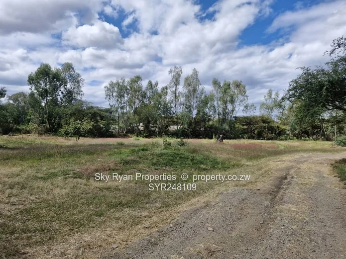 Borrowdale Brooke Stand For Sale