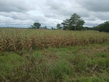 Farm & Agricultural Land