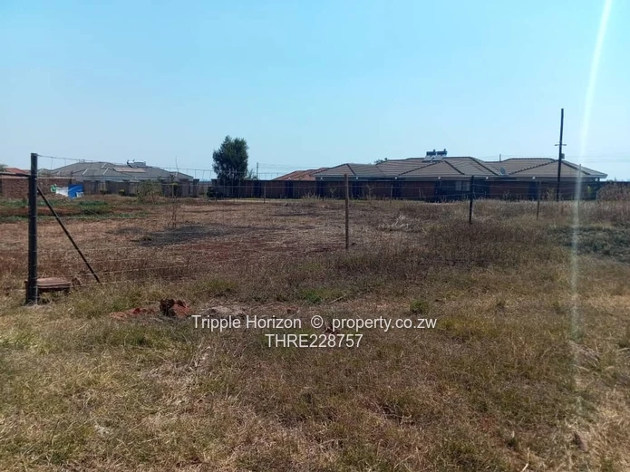 Investment opportunity 