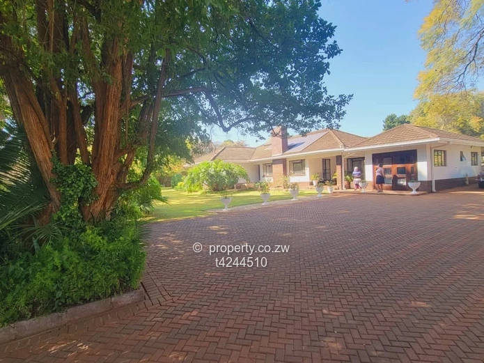 Borrowdale Vainona fully furnished house to rent 