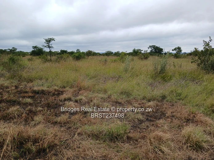 Fast establishing suburb in Gweru North! (Sole Mandate)