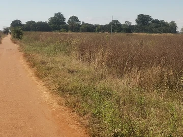 Commercial & Industrial Land