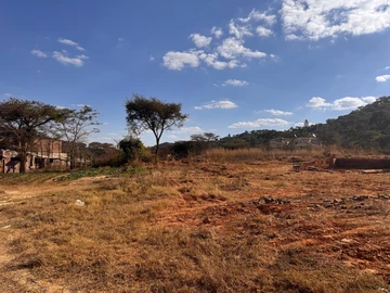 Farm & Agricultural Land
