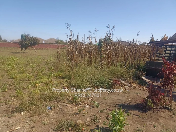3000sqm Stand for Sale – Goodhope, Westgate Area