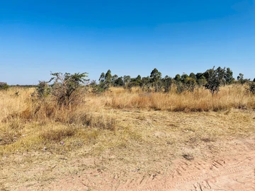 Farm & Agricultural Land