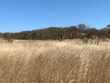 Marondera Farm 