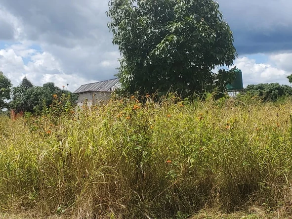 Farm & Agricultural Land