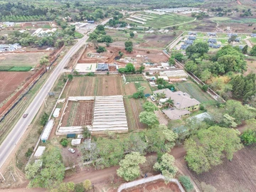 Stands & Residential Land