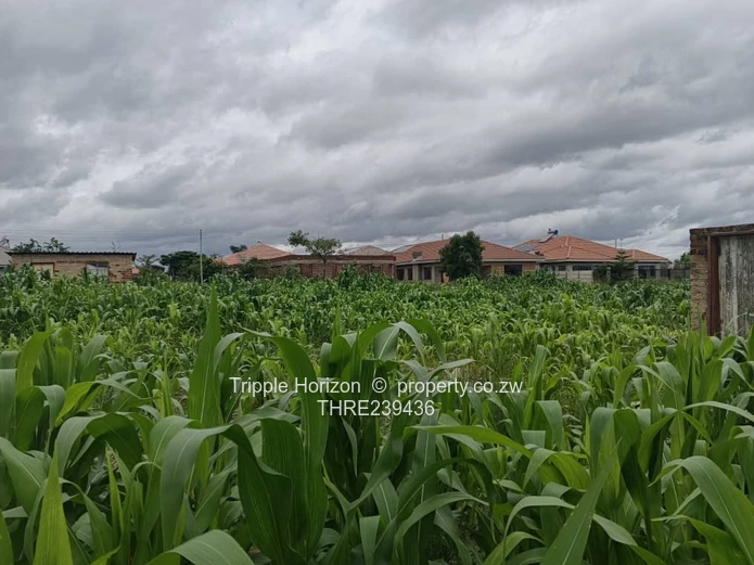 Ridle ridge park stand for sale 1000 square metres 