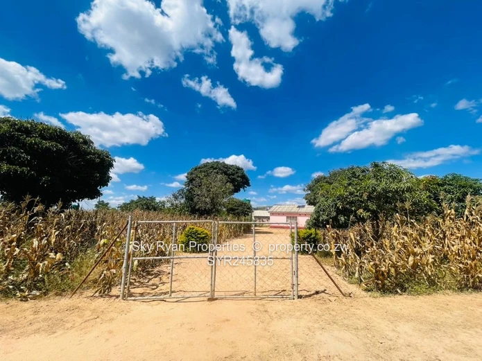 Crowhill Stand For Sale