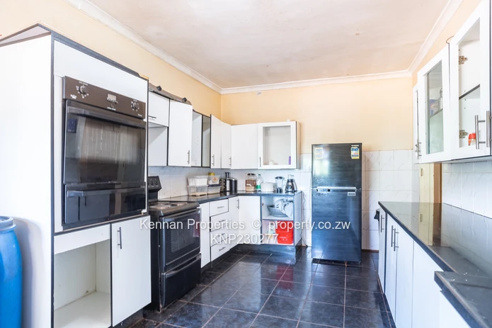 Renovator's Dream - Nostro!