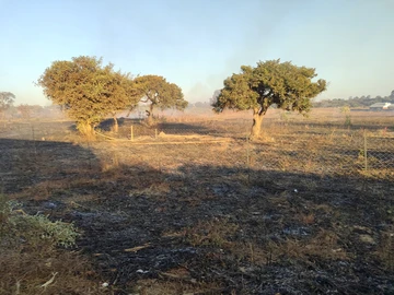 Commercial & Industrial Land