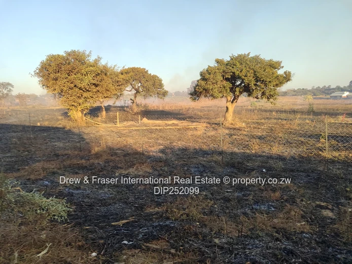 Commercial stand for sale 